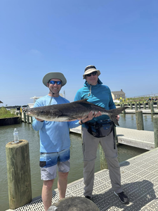 Catch of the day at Dauphin Island: Cobia